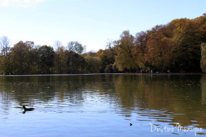 Englischer-Garten-Munique-1-300x200