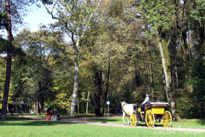 Englischer-Garten-Munique-4-300x200