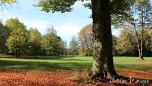 Englischer Garten, Outono em Munique, Alemanha