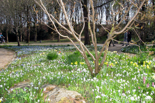 Westpark-Primavera-Munique