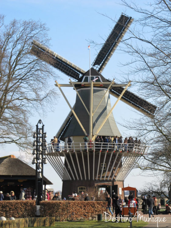 Amsterdan-Moinho-Keukenhof