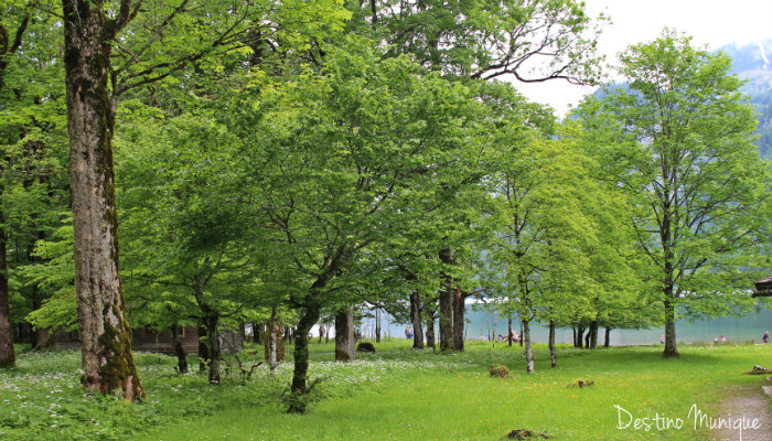 Koenigssee-Lago-Baviera