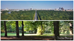 Tiergarten-Berlim-Alemanha-300x165