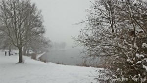 inverno-munique-lerchenauersee-300x169