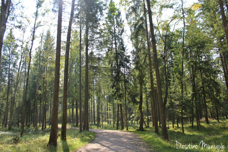 Landsberg-Lechpark-Wildpark