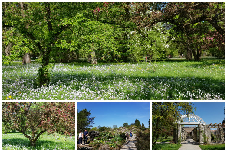 Jardim-Botanico-Jardins