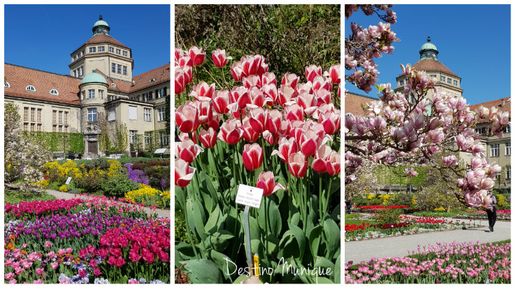 Primavera-Munique-Jardim-Botanico