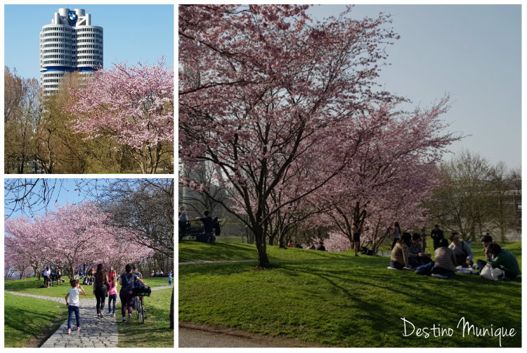 Primavera-Munique-Olympiapark