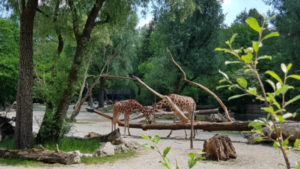 Zoológico de Munique, Hellabrunn, Alemanha; Munique com Crianças, Guia brasileira em Munique