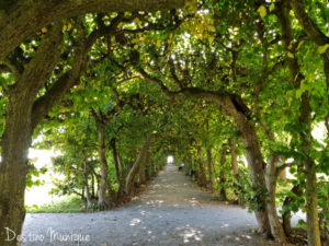 Dachau-Palacio-Jardim-Tunel-300x225