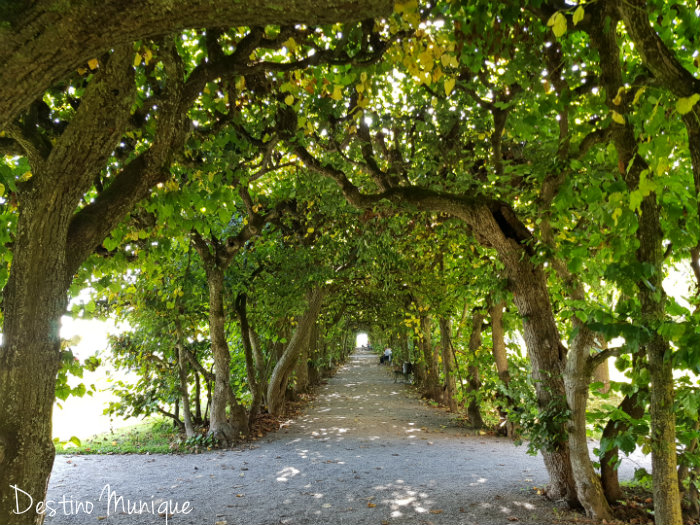 Dachau-Palacio-Jardim-Tunel