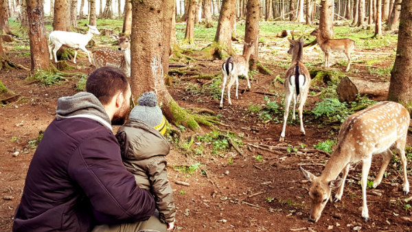 BergTierPark Blindham, dicas, Munique com crianças, Alemanha